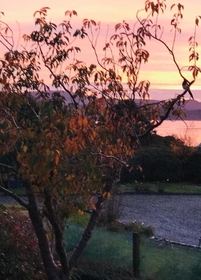 Niblick Bed & Breakfast Bantry Eksteriør bilde