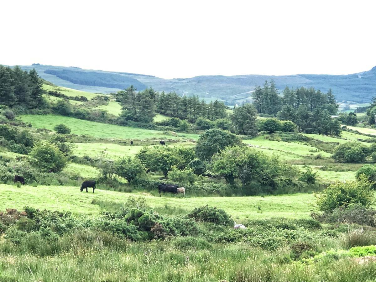Niblick Bed & Breakfast Bantry Eksteriør bilde